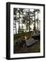 Campfire, shore, Lelång, Dalsland, Sweden-Andrea Lang-Framed Photographic Print