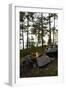 Campfire, shore, Lelång, Dalsland, Sweden-Andrea Lang-Framed Photographic Print