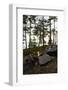 Campfire, shore, Lelång, Dalsland, Sweden-Andrea Lang-Framed Photographic Print