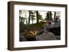 Campfire, shore, Lelång, Dalsland, Sweden-Andrea Lang-Framed Photographic Print