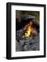 Campfire, Sweden-Andrea Lang-Framed Photographic Print