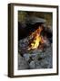 Campfire, Sweden-Andrea Lang-Framed Photographic Print