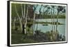 Campground near Tupper Lake, New York-null-Framed Stretched Canvas