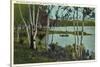 Campground near Tupper Lake, New York-null-Stretched Canvas