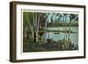 Campground near Tupper Lake, New York-null-Framed Art Print