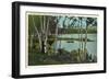 Campground near Tupper Lake, New York-null-Framed Art Print