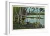 Campground near Tupper Lake, New York-null-Framed Art Print