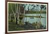 Campground near Tupper Lake, New York-null-Framed Art Print