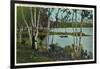 Campground near Tupper Lake, New York-null-Framed Art Print