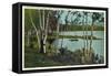 Campground near Tupper Lake, New York-null-Framed Stretched Canvas