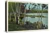 Campground near Tupper Lake, New York-null-Stretched Canvas