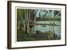 Campground near Tupper Lake, New York-null-Framed Art Print