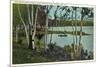 Campground near Tupper Lake, New York-null-Mounted Art Print