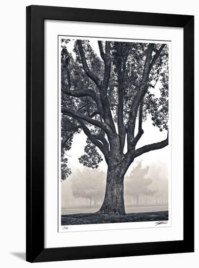 Camphor Silhouette-Donald Satterlee-Framed Giclee Print