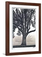 Camphor Silhouette-Donald Satterlee-Framed Giclee Print