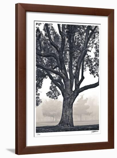 Camphor Silhouette-Donald Satterlee-Framed Giclee Print