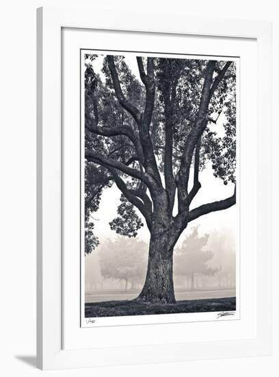 Camphor Silhouette-Donald Satterlee-Framed Giclee Print