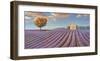 Campi di lavanda-Adriano Galasso-Framed Art Print