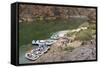 Camping on the Colorado River, Grand Canyon NP, Arizona, USA-Matt Freedman-Framed Stretched Canvas