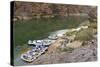 Camping on the Colorado River, Grand Canyon NP, Arizona, USA-Matt Freedman-Stretched Canvas