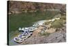 Camping on the Colorado River, Grand Canyon NP, Arizona, USA-Matt Freedman-Stretched Canvas