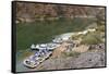 Camping on the Colorado River, Grand Canyon NP, Arizona, USA-Matt Freedman-Framed Stretched Canvas