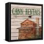 Camping Rentals II-Linda Baliko-Framed Stretched Canvas