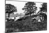 Camping Scene, C1933-null-Mounted Photographic Print