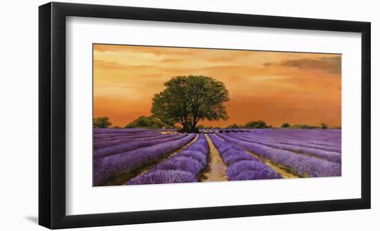 Campo al tramonto-Valerio Sella-Framed Art Print