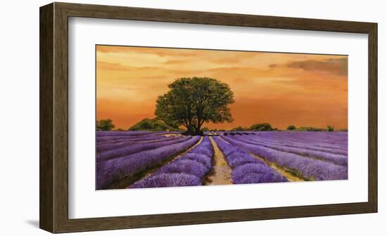 Campo al tramonto-Valerio Sella-Framed Art Print