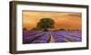 Campo al tramonto-Valerio Sella-Framed Art Print