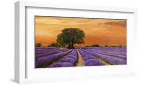 Campo al tramonto-Valerio Sella-Framed Art Print