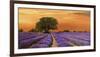 Campo al tramonto-Valerio Sella-Framed Art Print