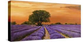 Campo al tramonto-Valerio Sella-Stretched Canvas