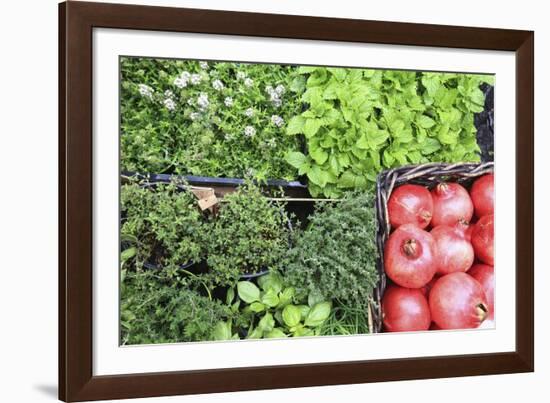 Campo De' Fiori Everyday Market.-Stefano Amantini-Framed Photographic Print