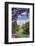 Campo del Moro Park, Royal Palace (Palacio Real), Madrid, Spain, Europe-Markus Lange-Framed Photographic Print