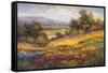 Campo di Fiore I-Hulsey-Framed Stretched Canvas