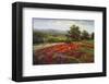 Campo di Fiore II-Hulsey-Framed Art Print