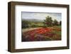 Campo di Fiore II-Hulsey-Framed Art Print