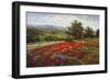 Campo di Fiore II-Hulsey-Framed Art Print