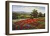 Campo di Fiore II-Hulsey-Framed Art Print