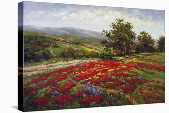 Campo di Fiore II-Hulsey-Stretched Canvas