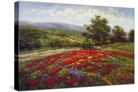 Campo di Fiore II-Hulsey-Stretched Canvas