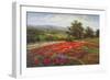 Campo di Fiore II-Hulsey-Framed Art Print