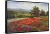 Campo di Fiore II-Hulsey-Framed Stretched Canvas