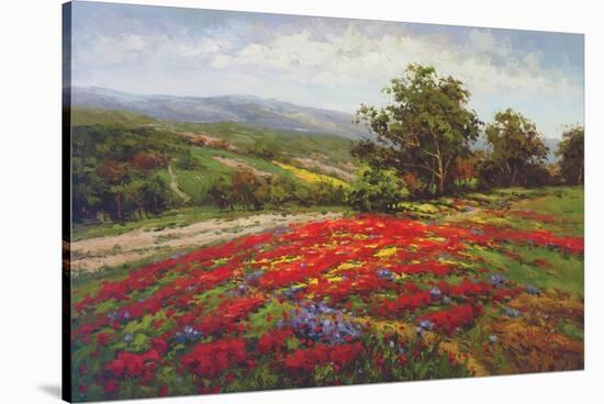 Campo di Fiore II-Hulsey-Stretched Canvas