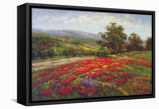 Campo di Fiore II-Hulsey-Framed Stretched Canvas