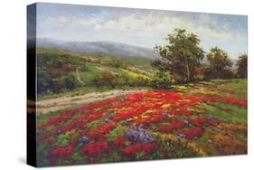 Campo di Fiore II-Hulsey-Stretched Canvas