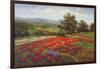 Campo di Fiore II-Hulsey-Framed Art Print