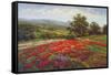 Campo di Fiore II-Hulsey-Framed Stretched Canvas